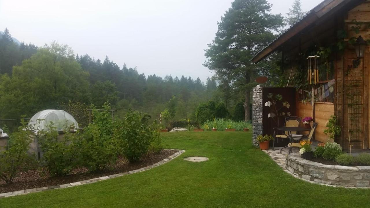 Ferienwohnung Bettina 베르그임드라우탈 외부 사진